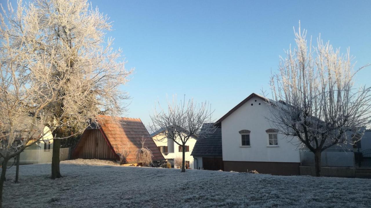 Apartament S' Kellerstoeckl Fehring Zewnętrze zdjęcie