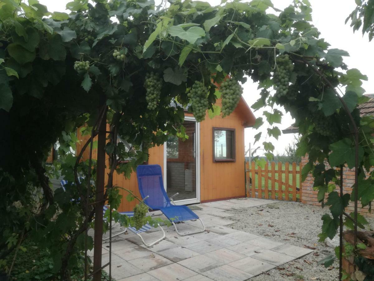 Apartament S' Kellerstoeckl Fehring Zewnętrze zdjęcie