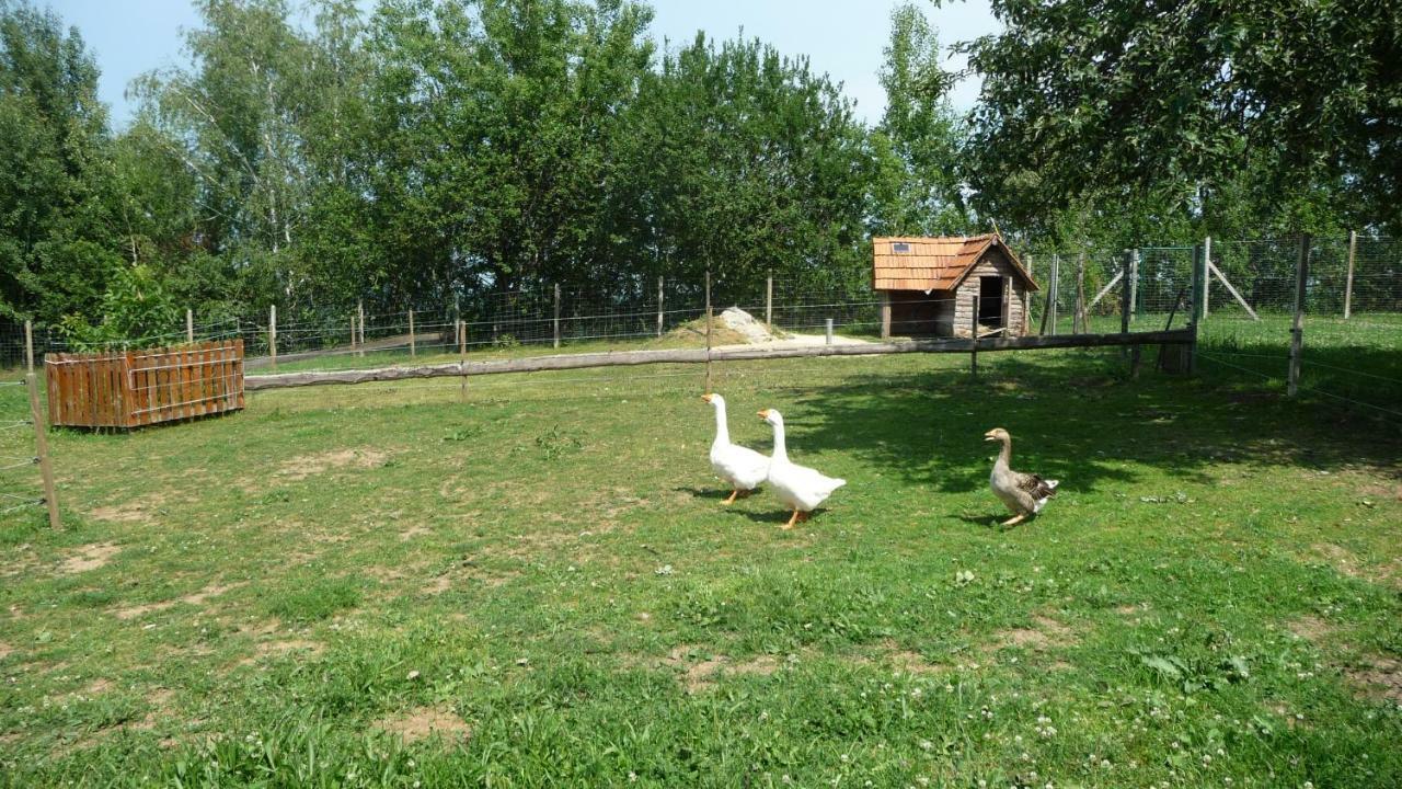 Apartament S' Kellerstoeckl Fehring Zewnętrze zdjęcie